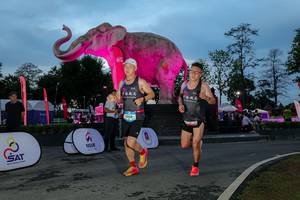 BIB: 
                            <button type="button" onclick="openModal(26529691)" class="btn btn-primary btn-sm float-right btn-popup" data-toggle="modal" data-target=".modal-high-quality">
                        <i class="fas fa-shopping-cart"></i> Add to Cart
                    </button>
                                            <button type="button" onclick="isThisMe(26529691, true)" class="btn btn-success btn-sm float-right btn-popup btn-isme hidden" data-toggle="tooltip" data-placement="bottom" title="นี่คือรูปของคุณใช่ไหม คลิกที่นี่เพื่อเอาเข้าอัลบั้ม">
                        <i class="fas fa-plus"></i> Add to album
                    </button>
                    <button type="button" onclick="isThisMe(26529691, false)" class="btn btn-warning btn-sm float-right btn-popup btn-isnotme hidden">
                        <i class="fas fa-ban"></i> Remove from album
                    </button>